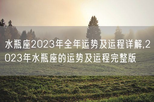 水瓶座2023年全年运势及运程详解,2023年水瓶座的运势及运程完整版(图1)