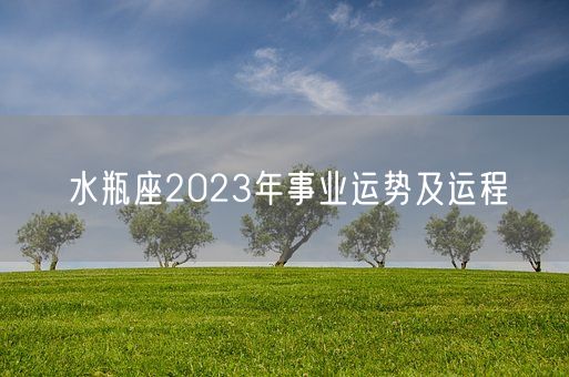水瓶座2023年事业运势及运程(图1) 水瓶座2023年事业运势及运程(图1)
