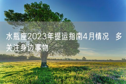 水瓶座2023年提运指南4月情况  多关注身边事物(图1) 水瓶座2023年提运指南4月情况  多关注身边事物(图1)