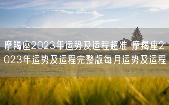 摩羯座2023年运势及运程超准 摩羯座2023年运势及运程完整版每月运势及运程(图1)