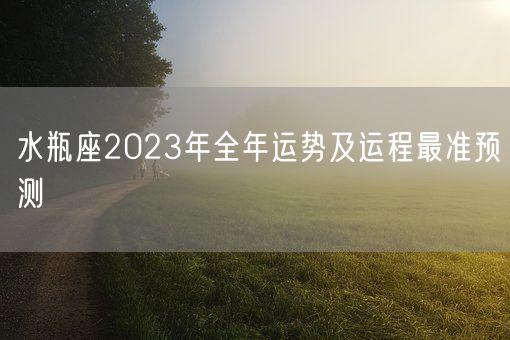 水瓶座2023年全年运势及运程最准预测(图1) 水瓶座2023年全年运势及运程最准预测(图1)