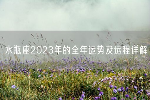 水瓶座2023年的全年运势及运程详解(图1)