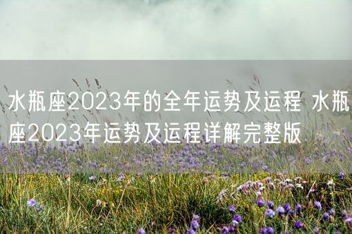 水瓶座2023年的全年运势及运程 水瓶座2023年运势及运程详解完整版(图1)