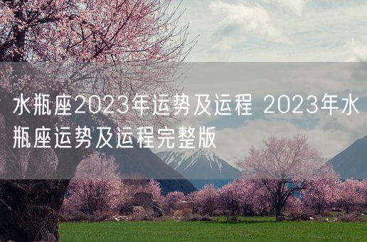 水瓶座2023年运势及运程 2023年水瓶座运势及运程完整版(图1) 水瓶座2023年运势及运程 2023年水瓶座运势及运程完整版(图1)