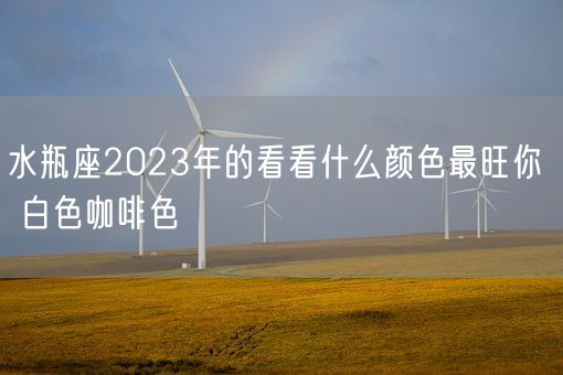 水瓶座2023年的看看什么颜色最旺你  白色咖啡色(图1) 水瓶座2023年的看看什么颜色最旺你  白色咖啡色(图1)