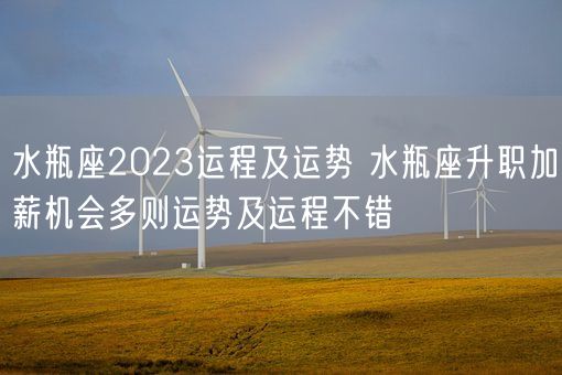 水瓶座2023运程及运势 水瓶座升职加薪机会多则运势及运程不错(图1) 水瓶座2023运程及运势 水瓶座升职加薪机会多则运势及运程不错(图1)