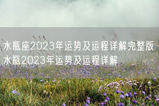 水瓶座2023年运势及运程详解完整版 水瓶2023年运势及运程详解 (图1)