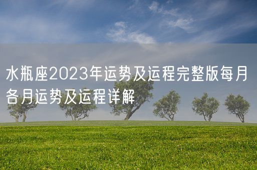 水瓶座2023年运势及运程完整版每月 各月运势及运程详解(图1)