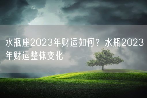 水瓶座2023年财运如何?水瓶2023年财运整体变化(图1) 水瓶座2023年财运如何?水瓶2023年财运整体变化(图1)
