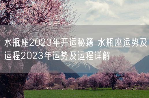 水瓶座2023年开运秘籍 水瓶座运势及运程2023年运势及运程详解(图1)