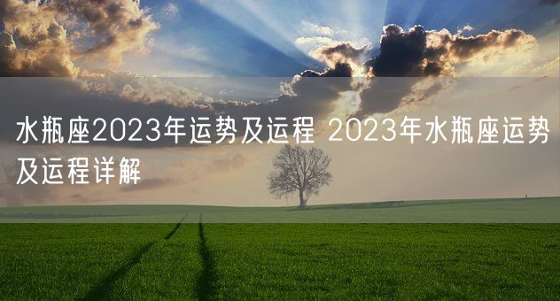 水瓶座2023年运势及运程 2023年水瓶座运势及运程详解 (图1)