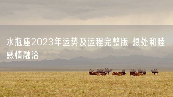 水瓶座2023年运势及运程完整版 想处和睦 感情融洽(图1) 水瓶座2023年运势及运程完整版 想处和睦 感情融洽(图1)