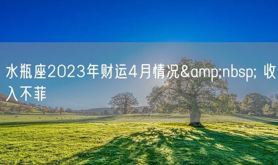 水瓶座2023年财运4月情况  收入不菲    (图1) 水瓶座2023年财运4月情况  收入不菲    (图1)
