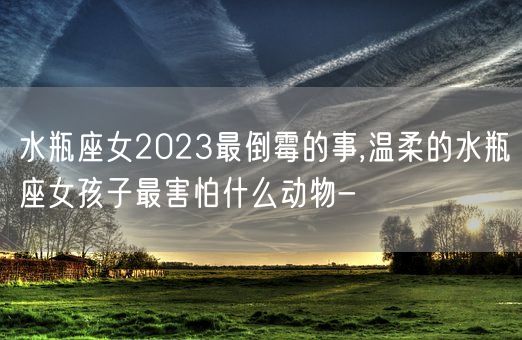 水瓶座女2023最倒霉的事,温柔的水瓶座女孩子最害怕什么动物-(图1) 水瓶座女2023最倒霉的事,温柔的水瓶座女孩子最害怕什么动物-(图1)