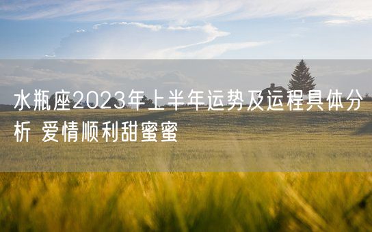 水瓶座2023年上半年运势及运程具体分析 爱情顺利甜蜜蜜(图1) 水瓶座2023年上半年运势及运程具体分析 爱情顺利甜蜜蜜(图1)