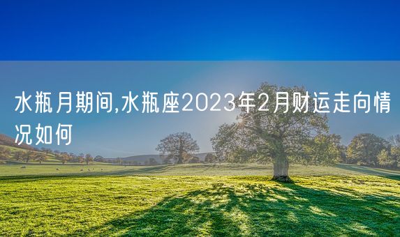 水瓶月期间,水瓶座2023年2月财运走向情况如何(图1) 水瓶月期间,水瓶座2023年2月财运走向情况如何(图1)