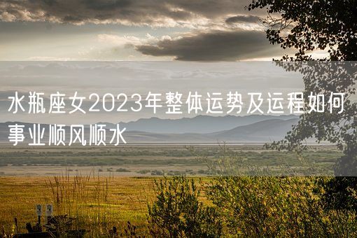 水瓶座女2023年整体运势及运程如何 事业顺风顺水(图1)