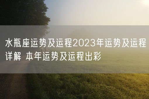 水瓶座运势及运程2023年运势及运程详解 本年运势及运程出彩(图1)