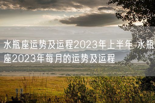 水瓶座运势及运程2023年上半年 水瓶座2023年每月的运势及运程(图1)