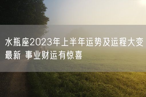 水瓶座2023年上半年运势及运程大变最新 事业财运有惊喜(图1) 水瓶座2023年上半年运势及运程大变最新 事业财运有惊喜(图1)