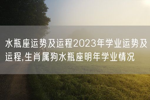 水瓶座运势及运程2023年学业运势及运程,生肖属狗水瓶座明年学业情况(图1) 水瓶座运势及运程2023年学业运势及运程,生肖属狗水瓶座明年学业情况(图1)