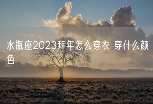 水瓶座2023拜年怎么穿衣 穿什么颜色(图1) 水瓶座2023拜年怎么穿衣 穿什么颜色(图1)