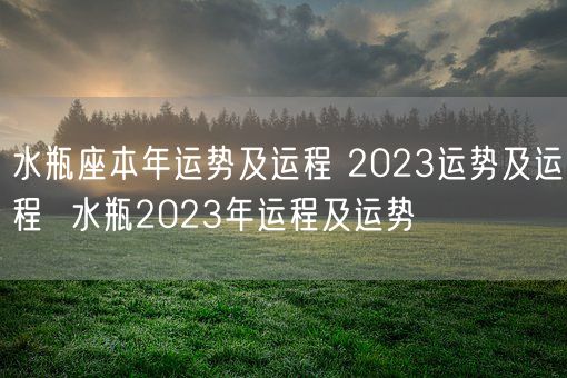 水瓶座本年运势及运程 2023运势及运程  水瓶2023年运程及运势(图1) 水瓶座本年运势及运程 2023运势及运程  水瓶2023年运程及运势(图1)
