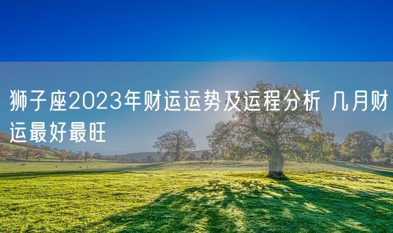 狮子座2023年财运运势及运程分析 几月财运最好最旺(图1)