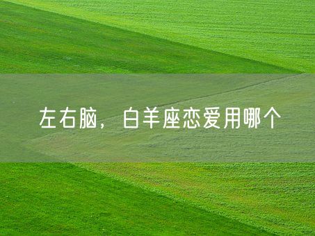 左右脑,白羊座恋爱用哪个(图1) 左右脑,白羊座恋爱用哪个(图1)