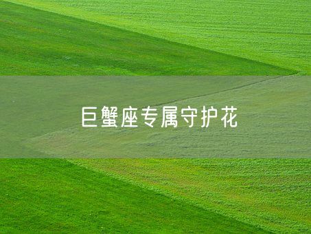 巨蟹座专属守护花(图1) 巨蟹座专属守护花(图1)
