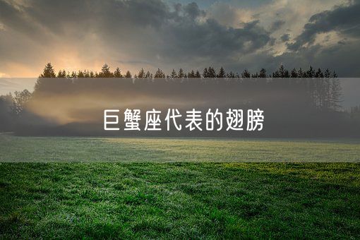 巨蟹座代表的翅膀(图1) 巨蟹座代表的翅膀(图1)