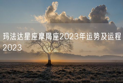 玛法达星座摩羯座2023年运势及运程2023(图1)