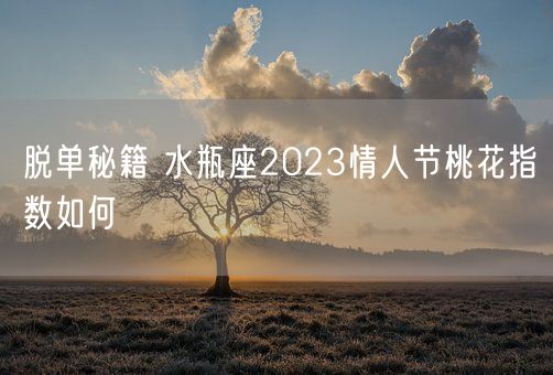 脱单秘籍 水瓶座2023情人节桃花指数如何(图1)