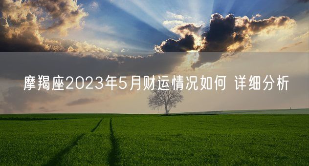 摩羯座2023年5月财运情况如何 详细分析(图1)