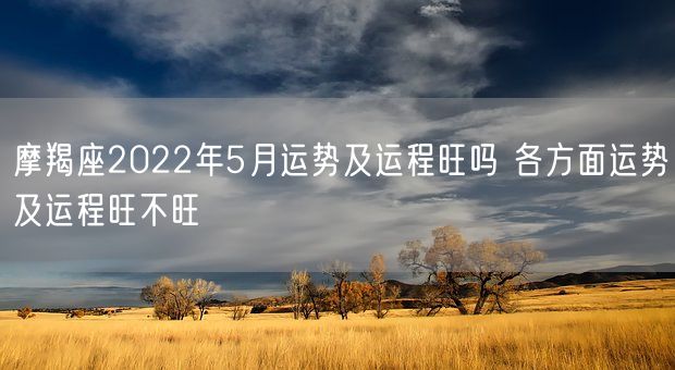 摩羯座2022年5月运势及运程旺吗 各方面运势及运程旺不旺(图1)