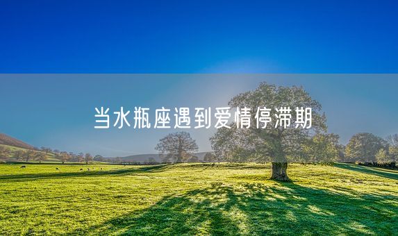当水瓶座遇到爱情停滞期(图1) 当水瓶座遇到爱情停滞期(图1)