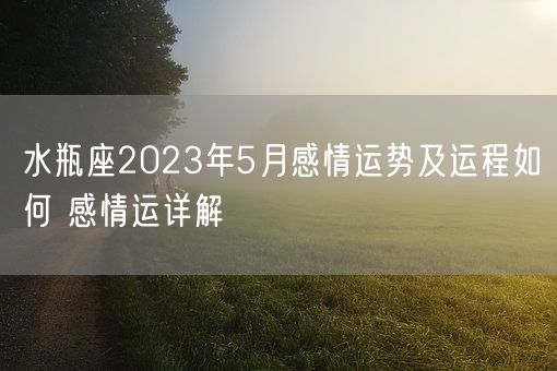 水瓶座2023年5月感情运势及运程如何 感情运详解(图1)