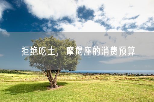 拒绝吃土，摩羯座的消费预算(图1)