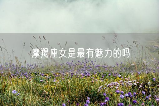 摩羯座女是最有魅力的吗(图1)