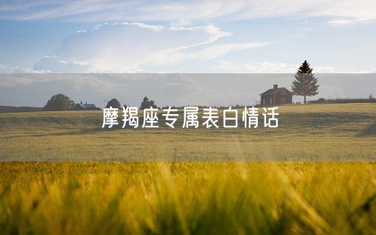 摩羯座专属表白情话(图1)