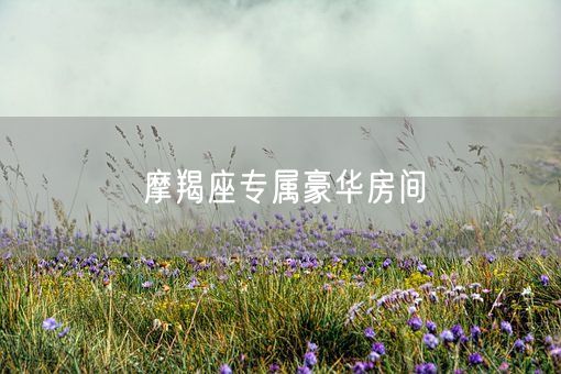 摩羯座专属豪华房间(图1)