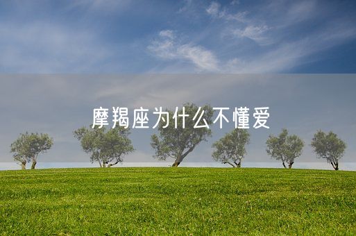 摩羯座为什么不懂爱(图1)