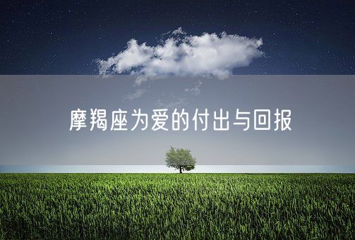 摩羯座为爱的付出与回报(图1)