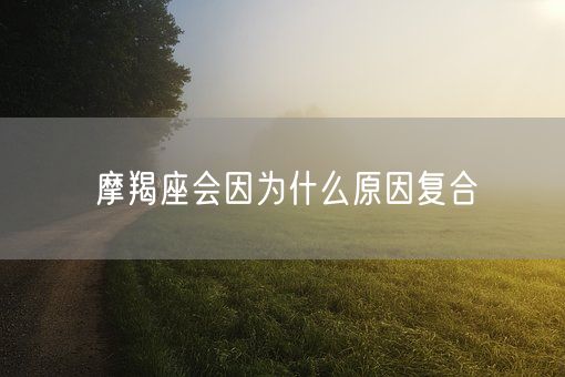 摩羯座会因为什么原因复合(图1)