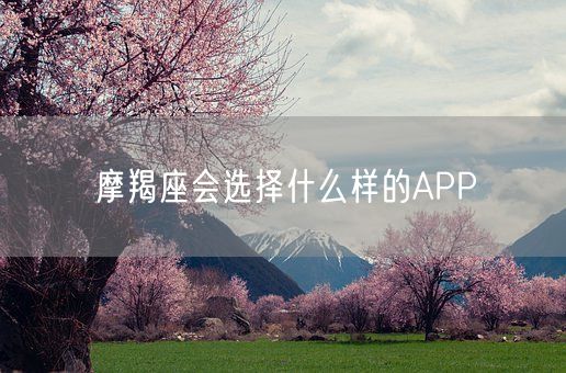 摩羯座会选择什么样的APP(图1)