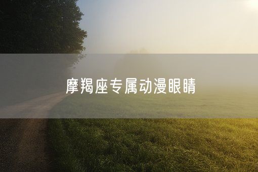 摩羯座专属动漫眼睛(图1)