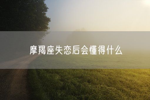 摩羯座失恋后会懂得什么(图1)