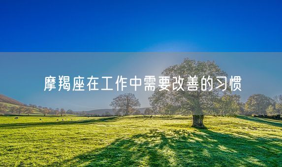 摩羯座在工作中需要改善的习惯(图1)