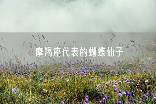 摩羯座代表的蝴蝶仙子(图1)