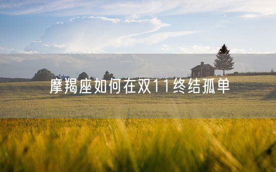 摩羯座如何在双11终结孤单(图1)